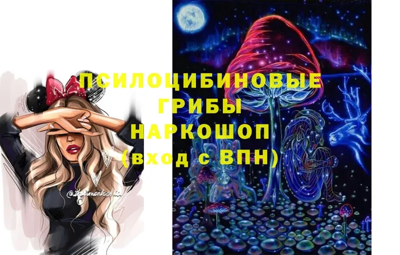 Галлюциногенные грибы Magic Shrooms  Медынь 